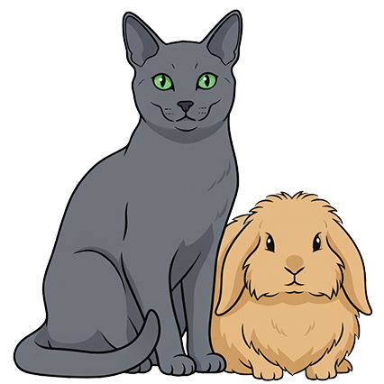 cat and a rabbit